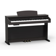 ARTESIA DP-20 RW