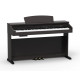 ARTESIA DP-20 RW