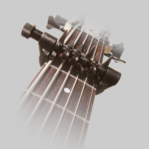 SPIDER CAPO XXL MODEL